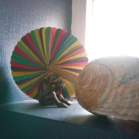 Apartament Grande La Garconniere Du Palais 3 Etoiles De Charme