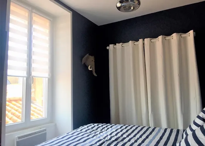 Grande La Garconniere Du Palais 3 Etoiles De Charme 公寓 莱萨布勒-多洛讷