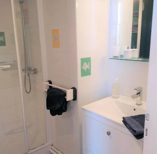 Grande La Garconniere Du Palais 3 Etoiles De Charme 公寓 莱萨布勒-多洛讷